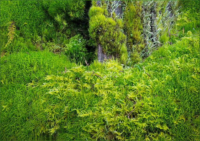 2026-03-21 08-16-53 (B,Radius8,Smoothing4)-Edit-Edit-Edit.jpg