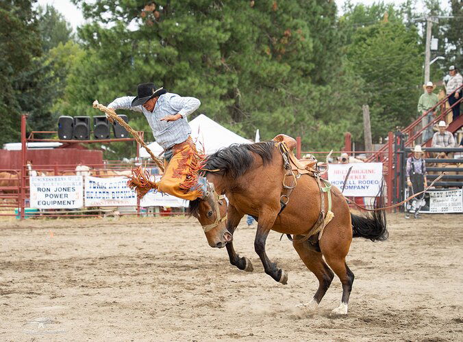 -20220903-_7R43809-Roy Rodeo-Edit