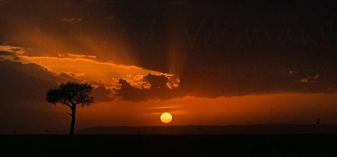 sunrise masai mara