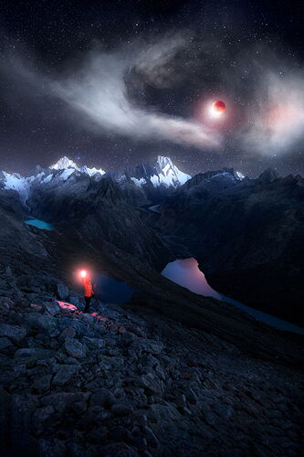 Flesh & Blood by Angel Fux