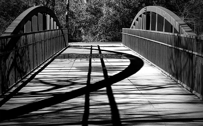 Shadow Bridge Five.jpg