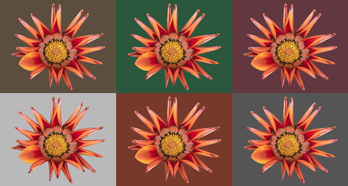 FGisin_NPN_Closeup_Critique_10_20_2025_Colored_Backgrounds