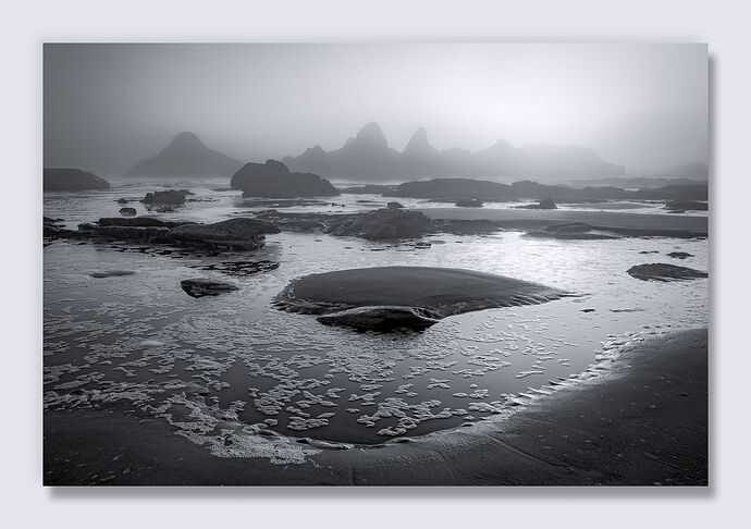 20250811 shp copy.jpg