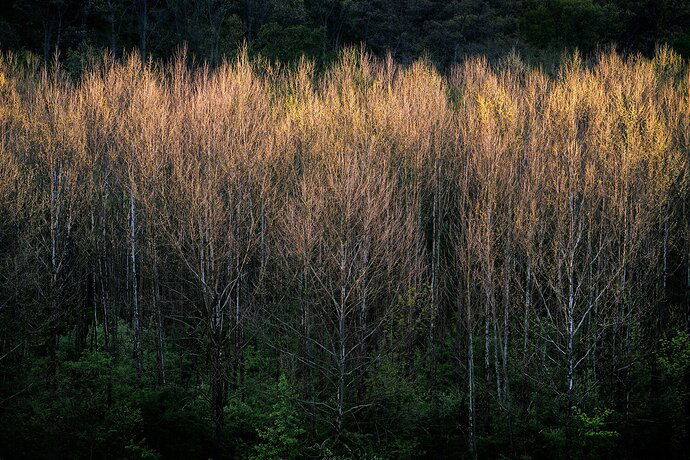 20210502-Highbanks Ridge-107-Edit-2-web1500x1001_U_100