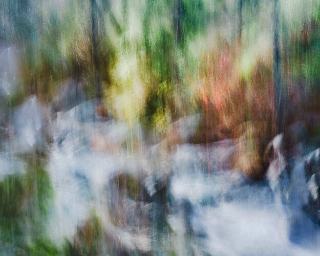 ForestDancersV2
