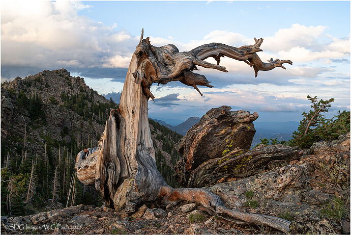Listen-to-the-Wind-3220A100-25.jpg