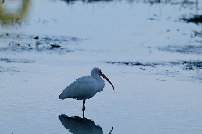 DSC_5128_DxO.jpg