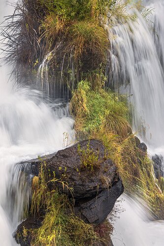Falls foliage compressed (1 of 1).JPG