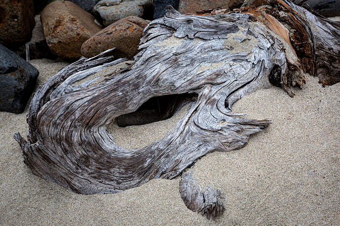 IMG5DIIIPost10k_3941NPNWebLrg-2