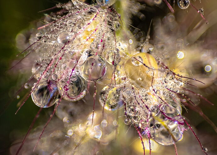 Crystal Bubbles.jpg