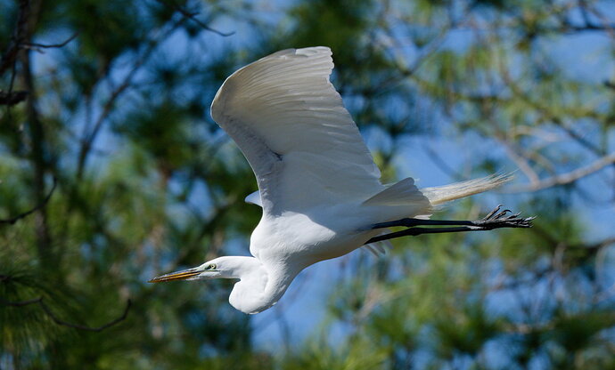 Original - DSC_4970_DxO.jpg