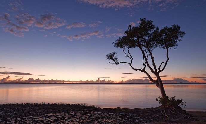 _MG_2006 Redland sunrise S