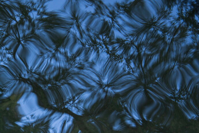 Abstract Pines