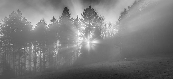 20251221-Q1000737 copy