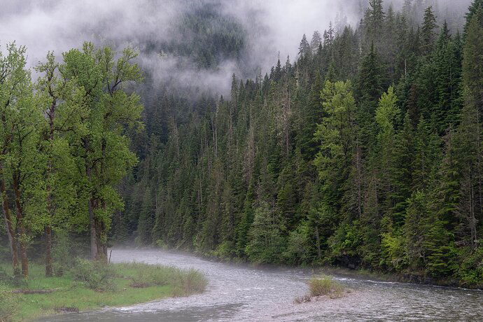 The River