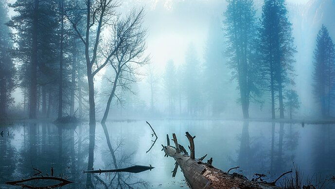 foggy pond dawn Yosemite web,jpg