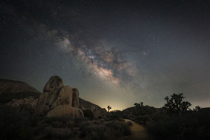 The Trail Home.jpg