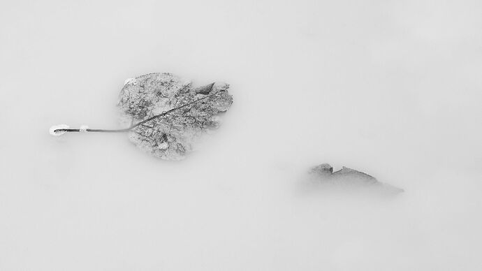 Muddy water offerings