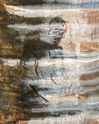 Screenshot 2025-12-11 152044a