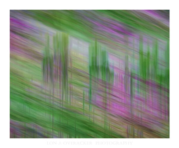 54Z7_0506ICM-npn.jpg