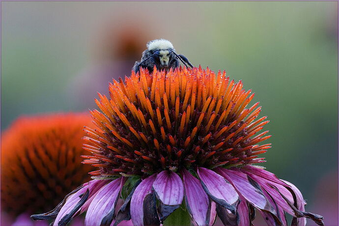 2025-08-20 13-34-14 (B,R11,S5)-Edit.jpg