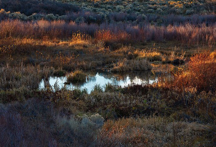 Color explosian at sunset, high desert