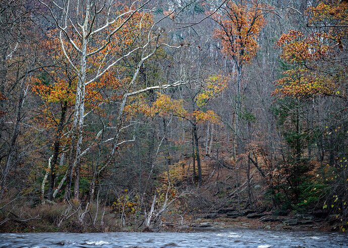 AnneG_NPN_2_AG1_2872-Edit