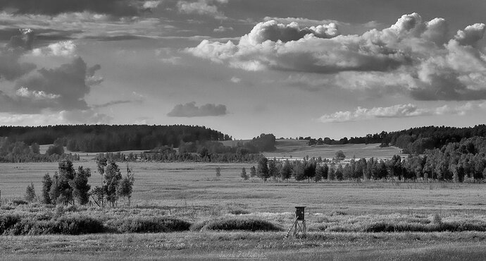 DSC_1840