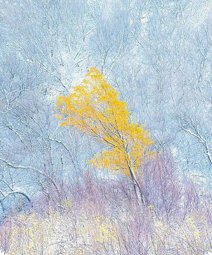 Holding-On,-Utah,-2022-2025