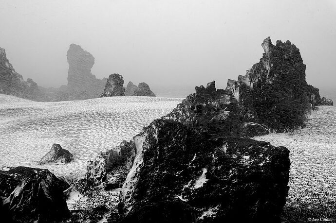 D85_9896  2025-8-23