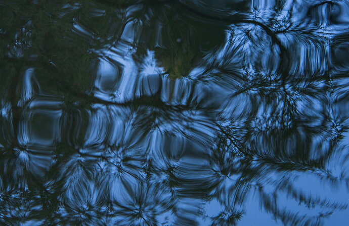 Reflections -1.jpg