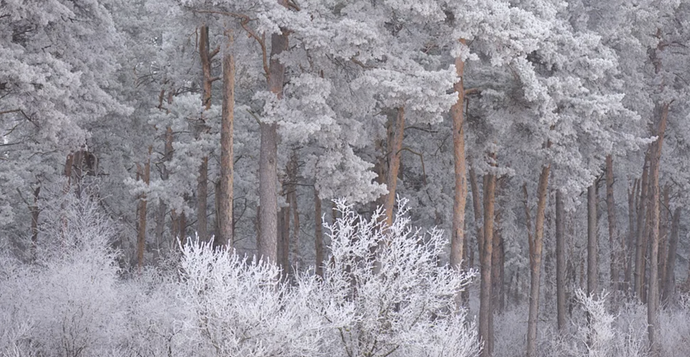 Screenshot 2026-03-01 131537