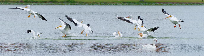 DSC_6905_DxO.jpg