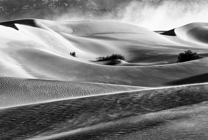 Sandstorm..jpg