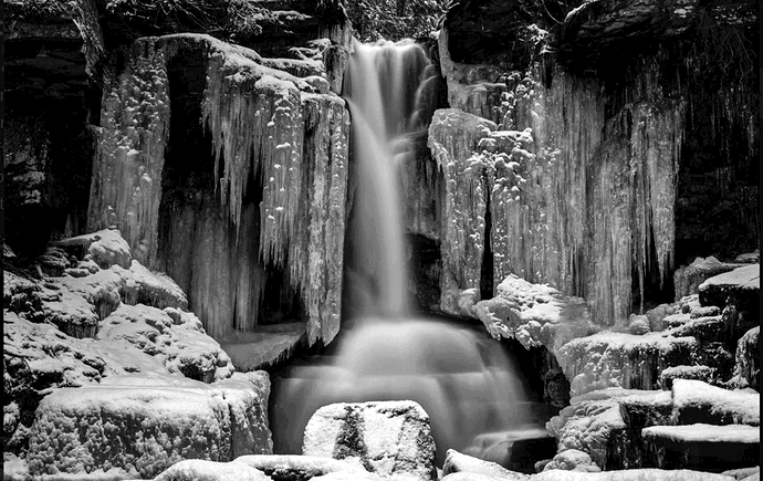 Screenshot 2026-03-01 125643