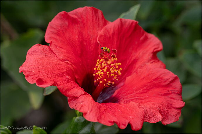 Late-Lunch-57682A7r3-25