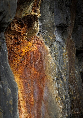 Original - pembroke-4614-Edit v2.jpg