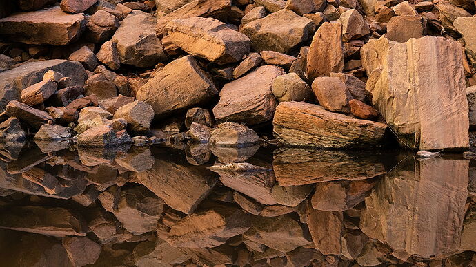 20241022_Utah_ZionNationPark_EmeraldPoolsAndSandBeachTrail_107-001