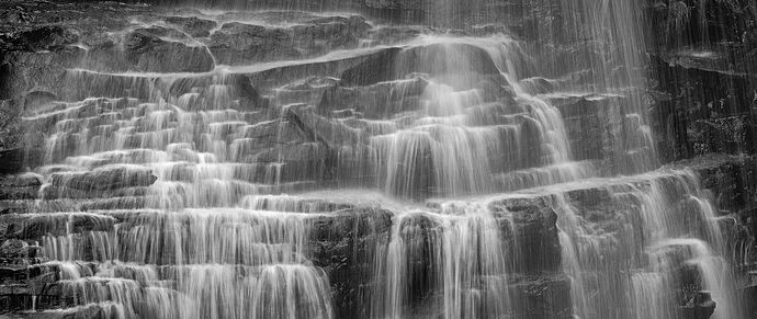 _DSC5745 copy # 2.jpg