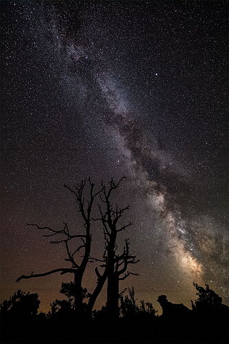 NPN_Vertical_Landscape_Stacked_ID-10-Mean Min Hor Noise.jpg