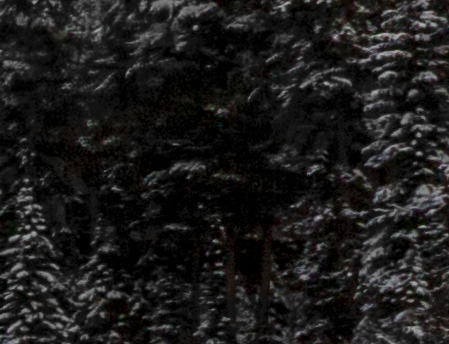 Screenshot 2025-12-13 155122