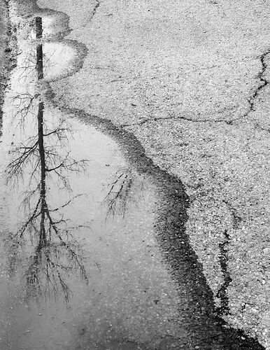 Okotoks--Reflection