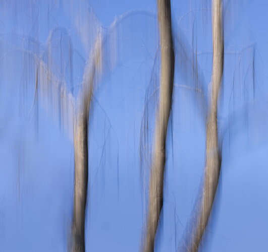 _49A8218-Edit.jpg