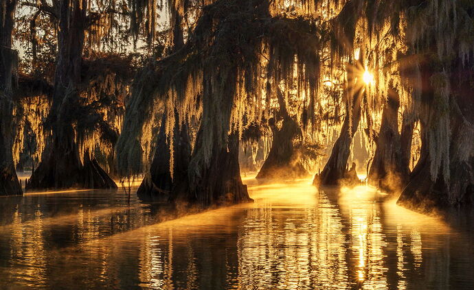 Kristen_SmithNovember 13, 2020P1044909-3