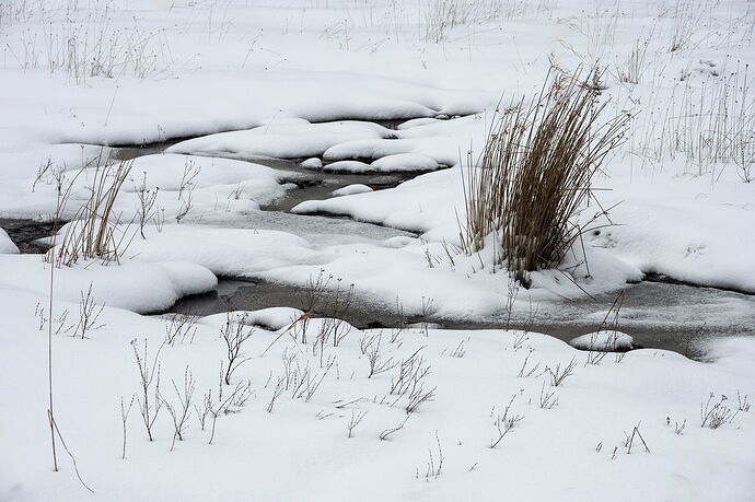 _DSC6171 copy.jpg