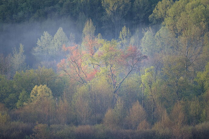 Landscape-Photography-Chrissy-Donadi-NPN-AMA-Quiet-Embrace