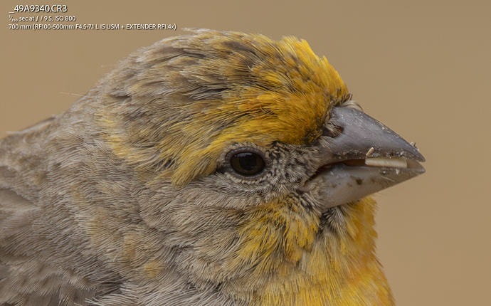 Screenshot 2025-06-22 at 11.47.17 AM