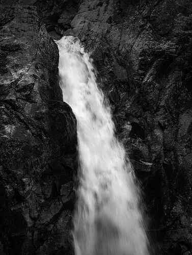 20230609-_DSC2480 copy