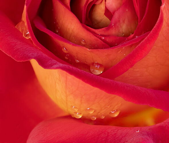 2025-05-18-18.12.00 ZS DMap-Edit