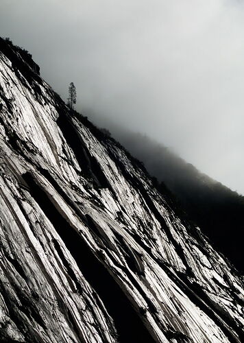 Sierra_032324_3614 copy.jpg